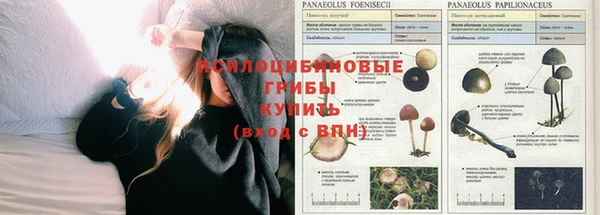 трава Балабаново