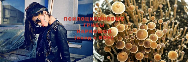 mix Белокуриха